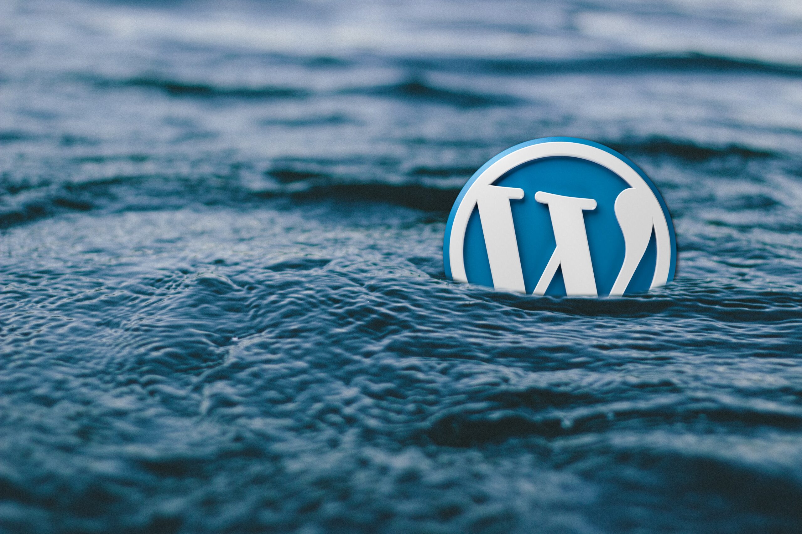 WordPress 6.0: Worauf wir uns freuen können
